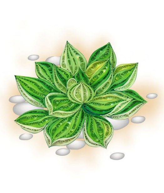 Hand Quilled Greeting Card Succulent #10613