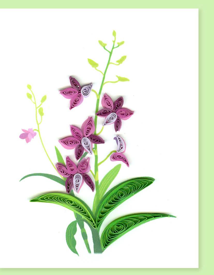 Hand Quilled Gift Enclosure Mini Card Dendrobium Orchid #GE