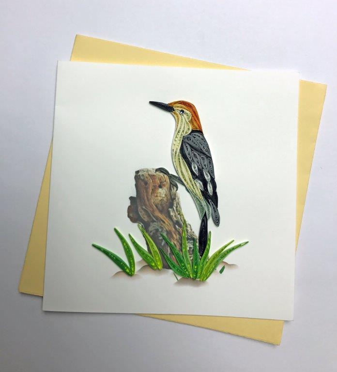 Hand Quilled Greeting Card Red Bellied Woodpecker #10247