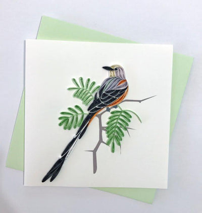 Hand Quilled Greeting Card Scissor-Tailed Flycatcher #10332