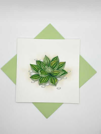 Hand Quilled Greeting Card Succulent #10613